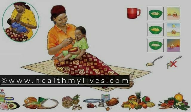 Malnutrition Treatment