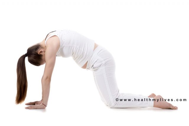 Cow cat yoga posture for backpain