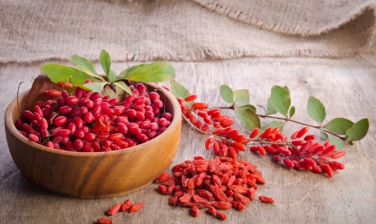 Herbal Berberine