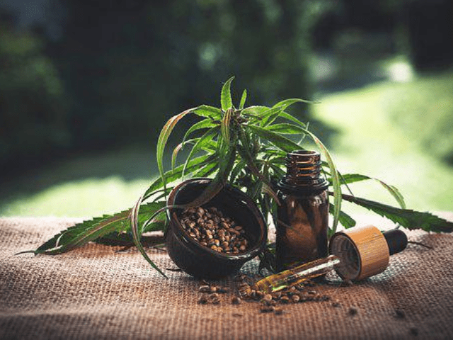 cbd leaves and oil